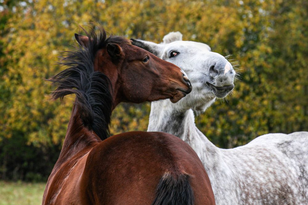 Photograph by Ivars Salmanis