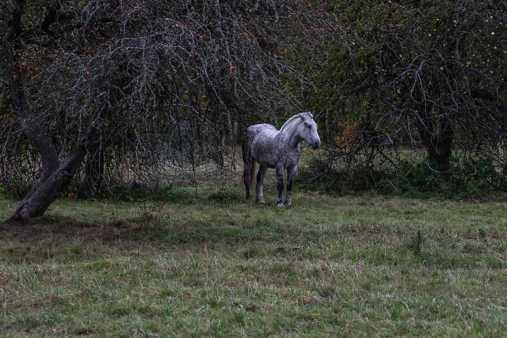 Photograph by Ivars Salmanis
