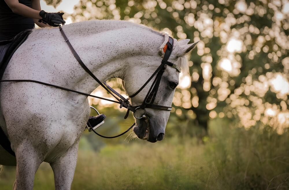 Photograph by Светлана