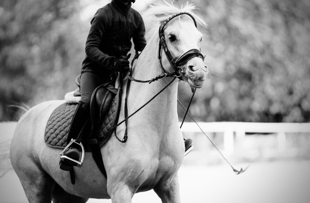 Photograph by Светлана