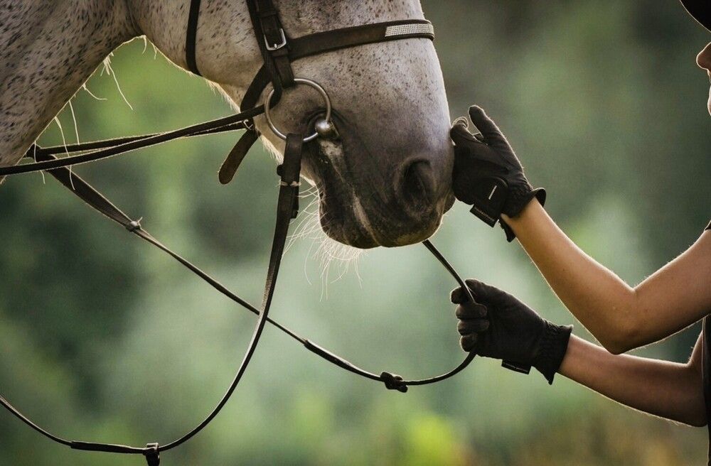 Photograph by Светлана