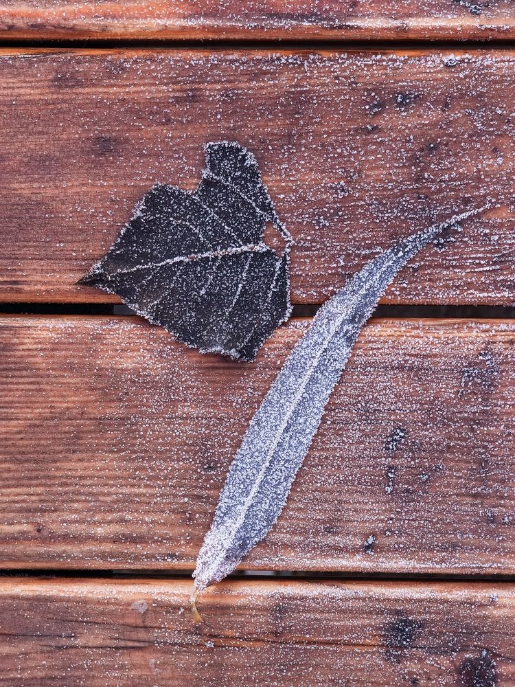 Фотография автора Владимир Ли