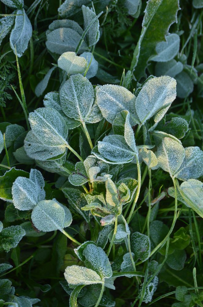 Фотография автора Владислав Алмазкин