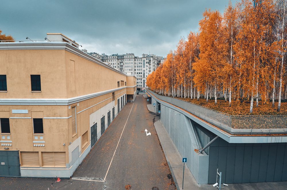 Фотография автора Александр Гришин