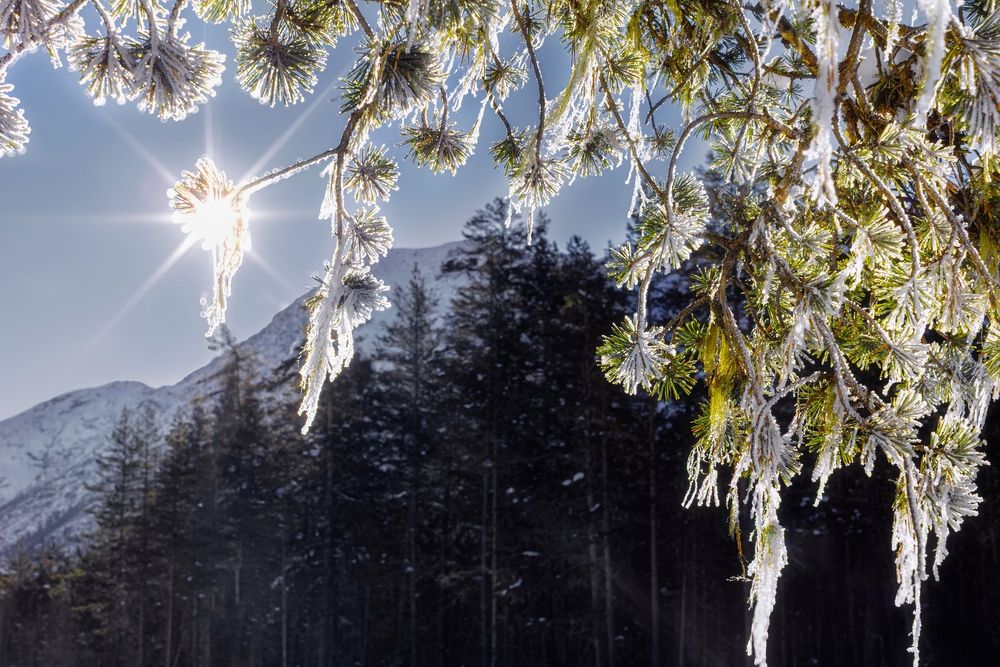 Photograph by Сильва Татьяна