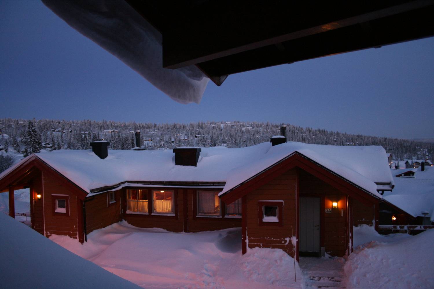 Photo #13018780