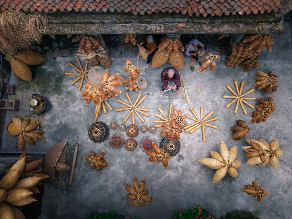 Bamboo Stars