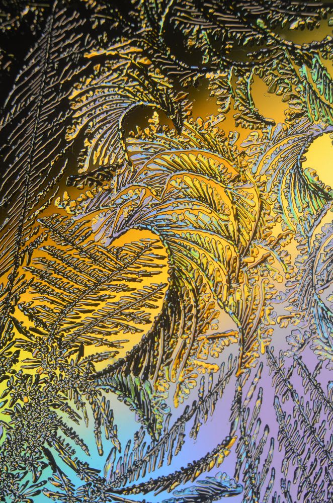 Фотография автора Владислав Алмазкин