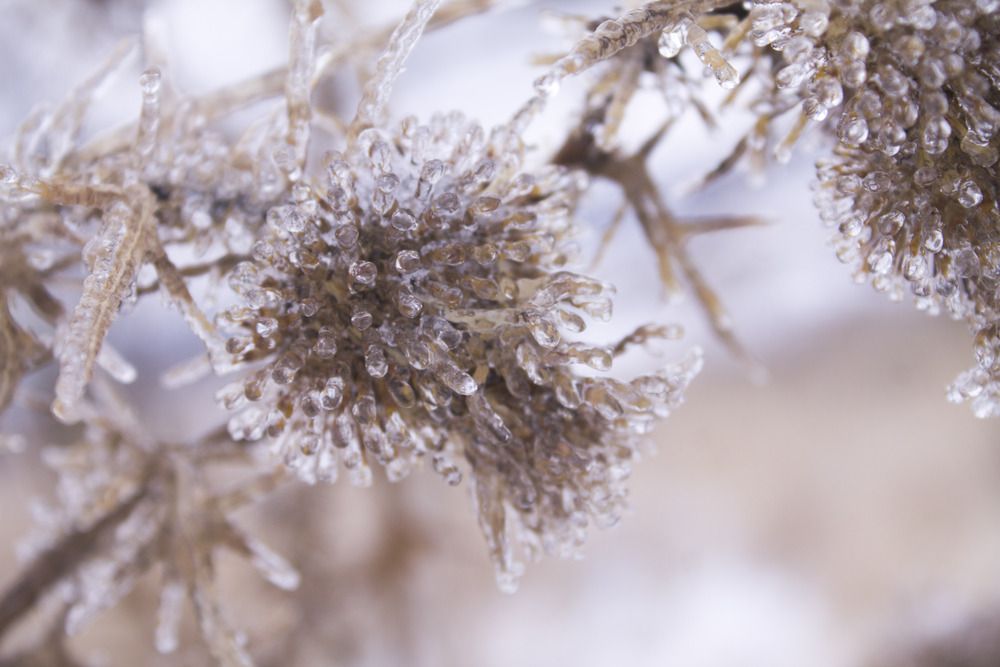 Photograph by Мария Бобылева