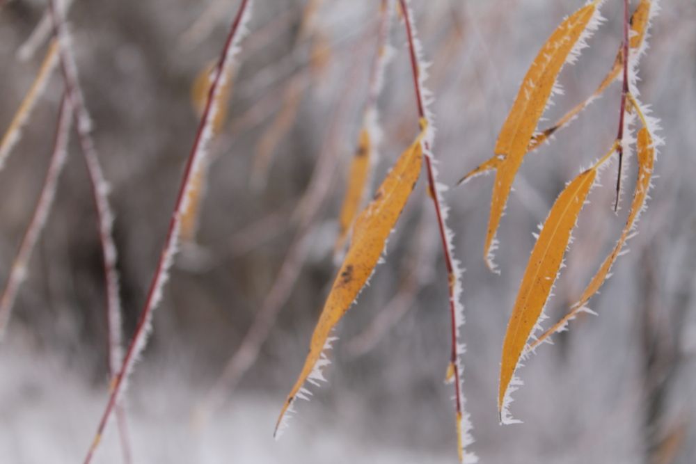 Photograph by Мария Бобылева