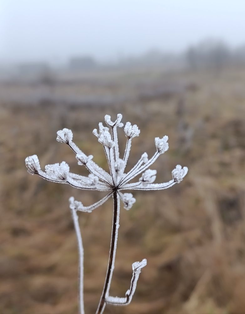 Photograph by Екатерина Супраненок