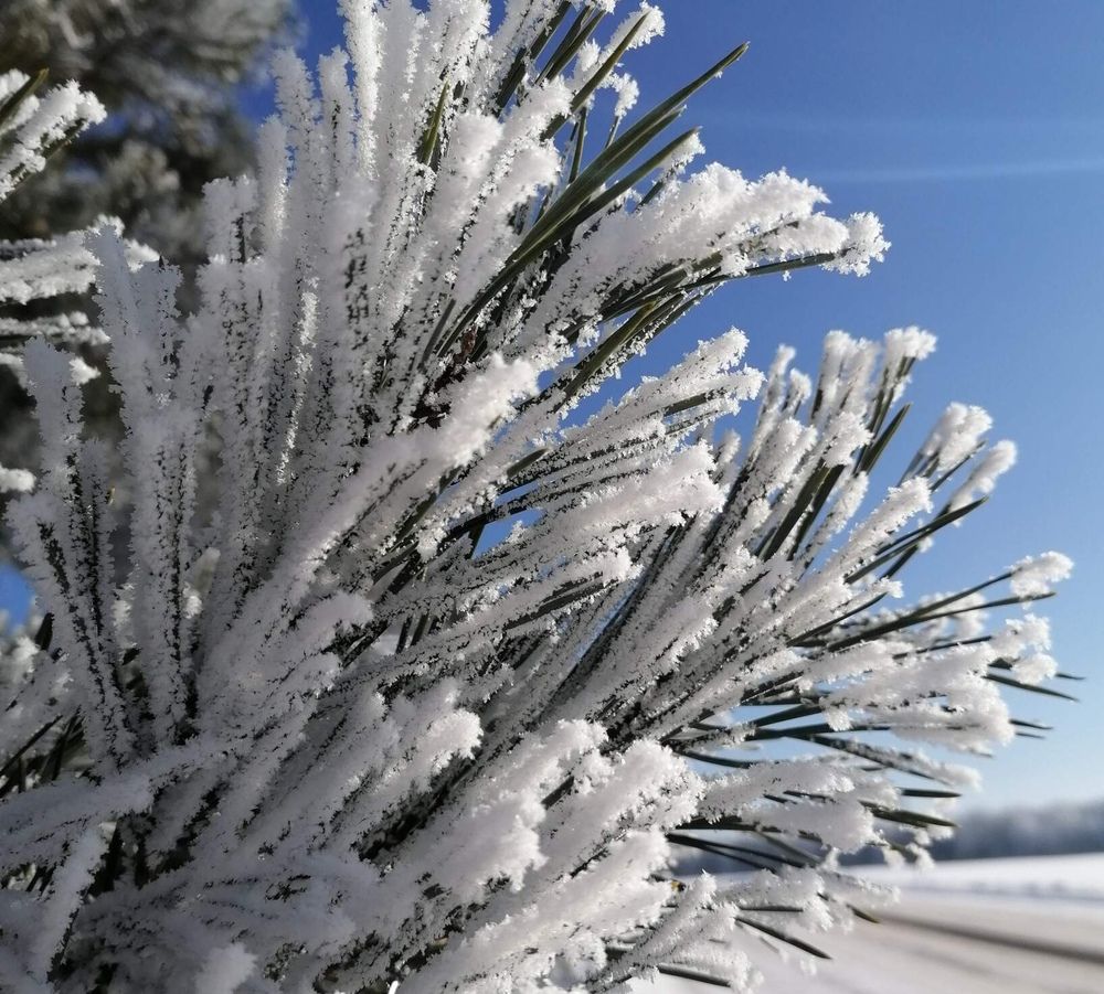 Photograph by Екатерина Супраненок