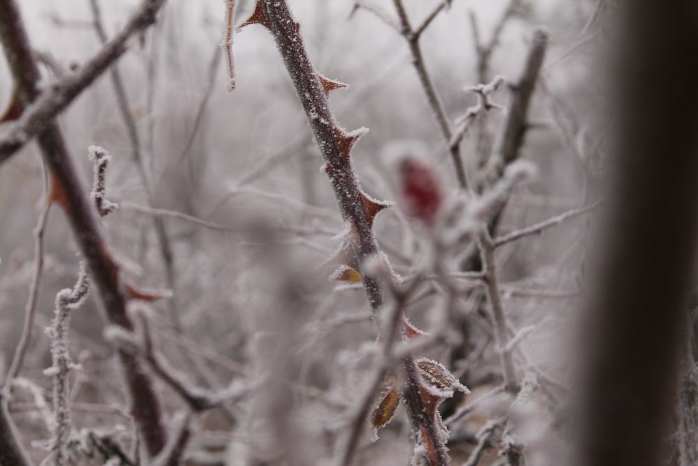 Photograph by Мария Бобылева