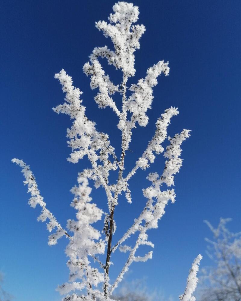 Photograph by Екатерина Супраненок