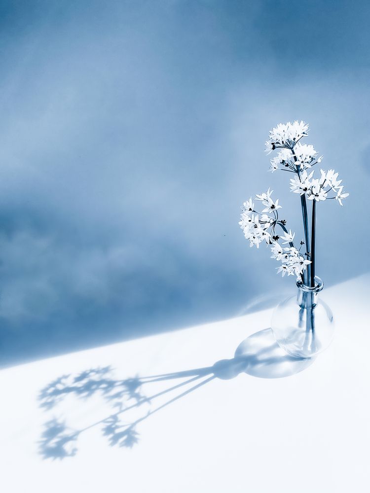 Photograph by Viktoriia Kalnytska-Willems
