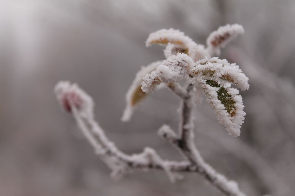 Photograph by Мария Бобылева