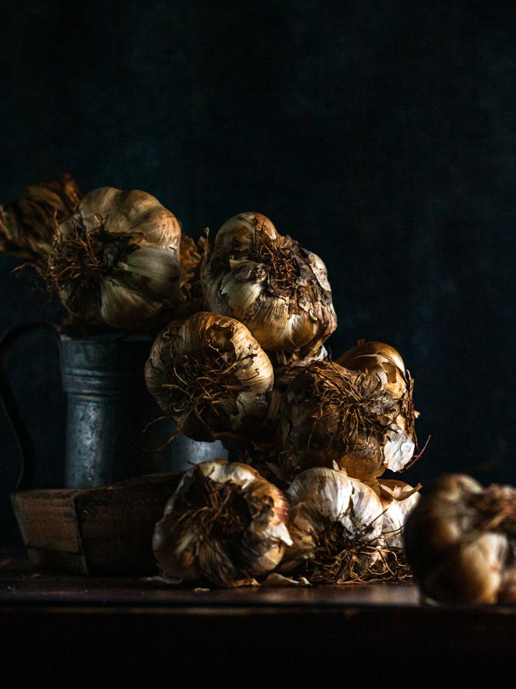 Photograph by Viktoriia Kalnytska-Willems