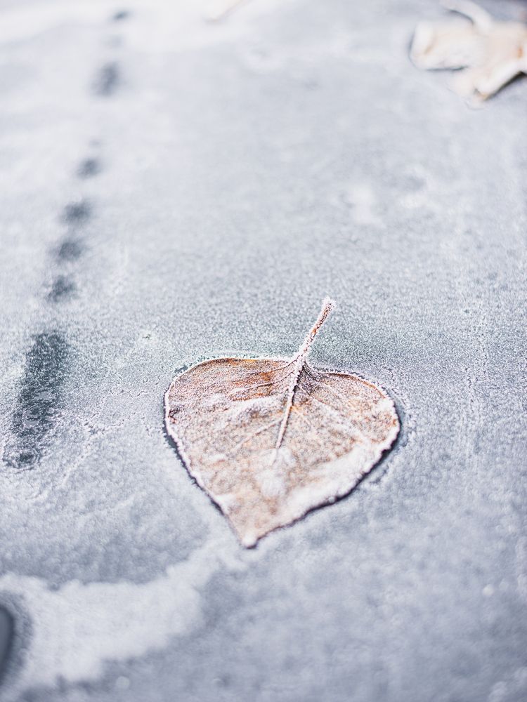 Photograph by Jonathan L