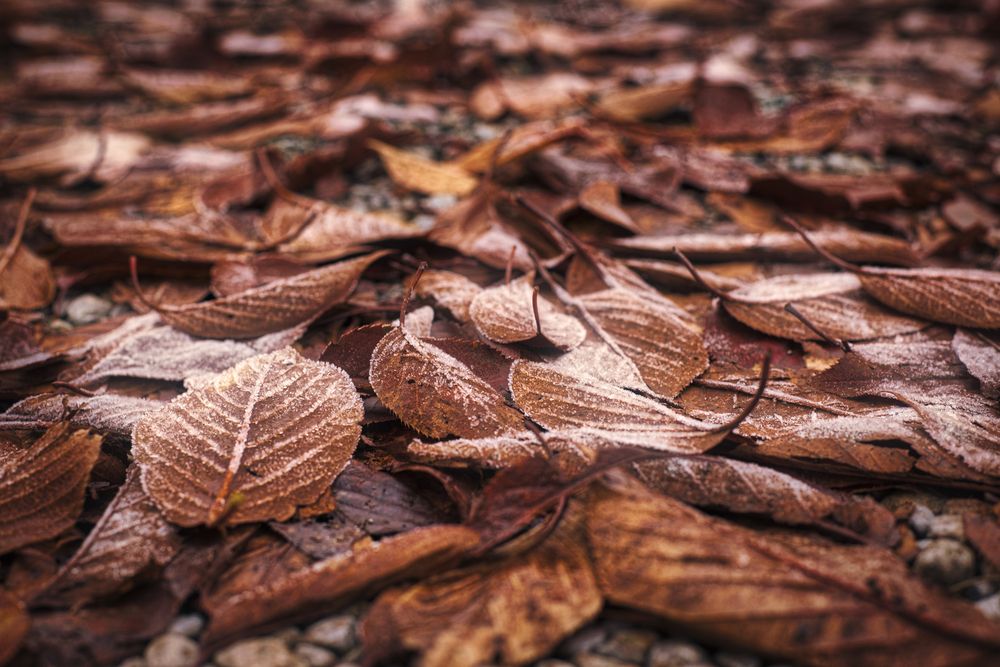 Photograph by Jonathan L