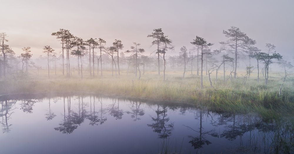 Photograph by Brouer Alexey