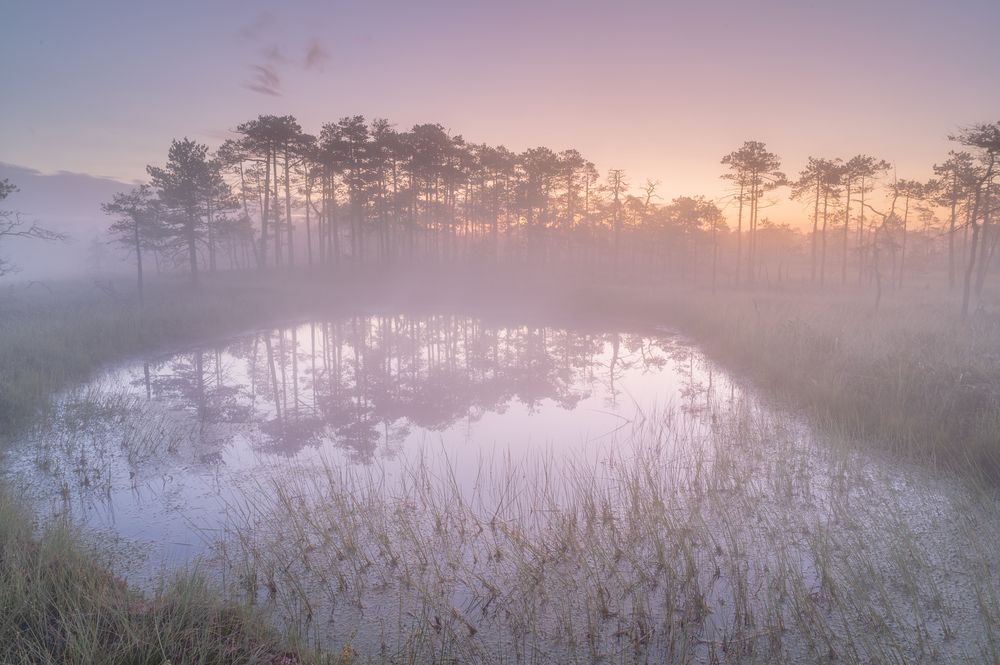 Photograph by Brouer Alexey