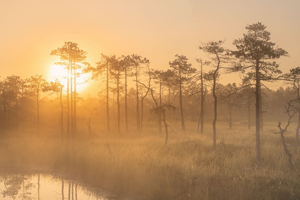 Photograph by Brouer Alexey