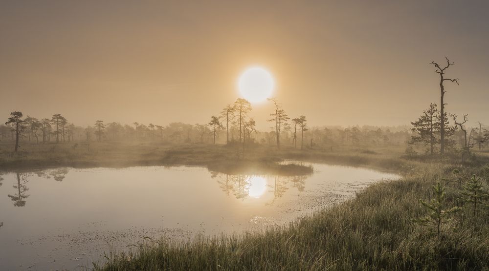 Photograph by Brouer Alexey
