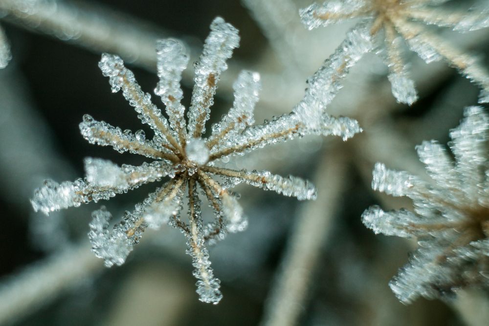 Фотография автора Максим Светличный