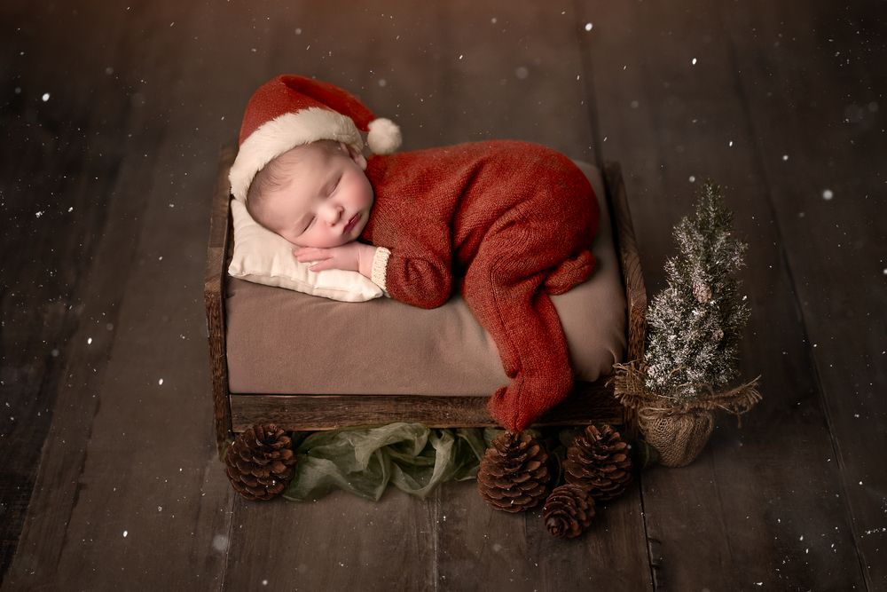 Фотография автора Angela Saura