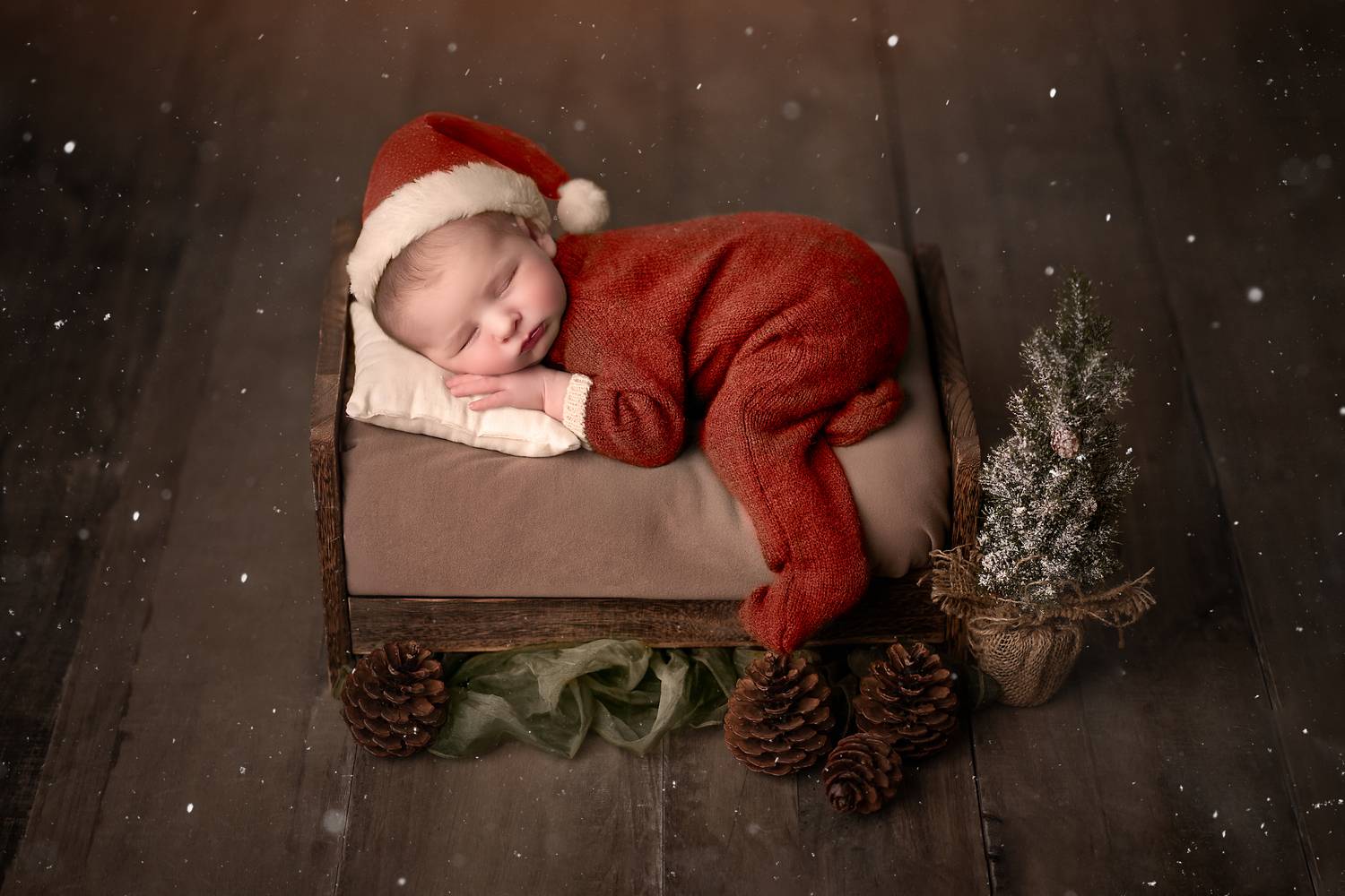 Фотография #13018956