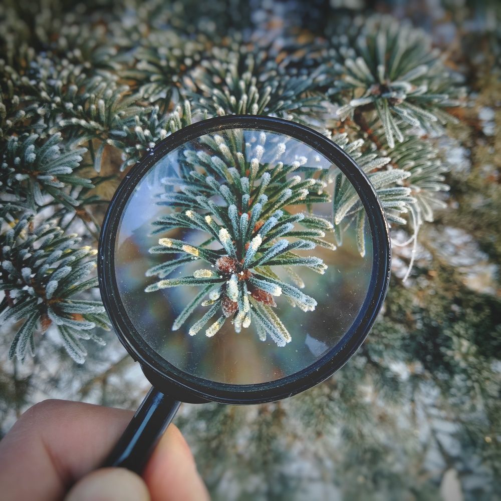 Фотография автора Геннадий Ломеко