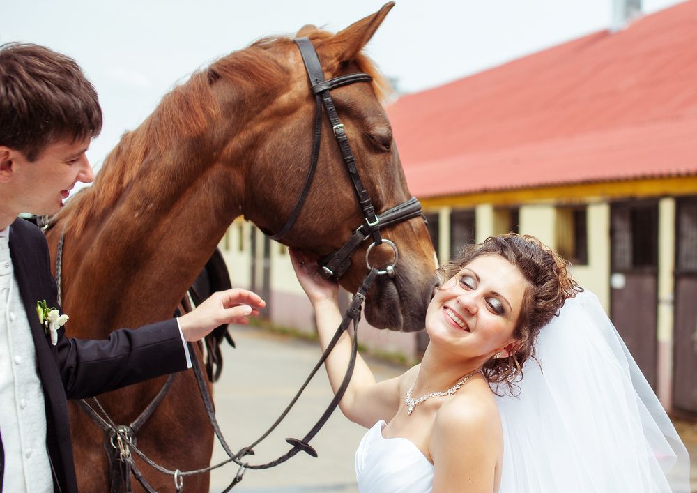 Фотография автора Максим Светличный