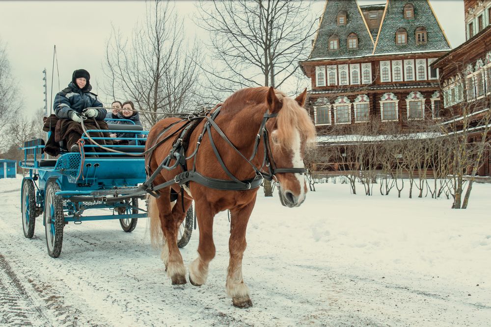 Фотография автора Максим Светличный