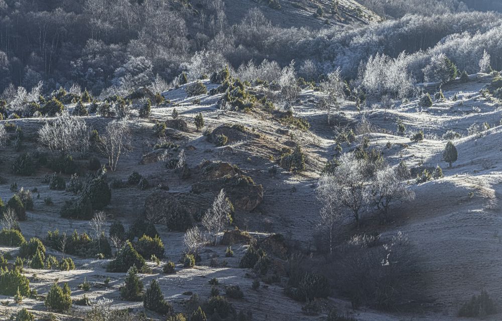 Утреннее серебро