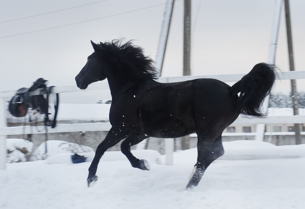 Фотография автора Наталья Белова