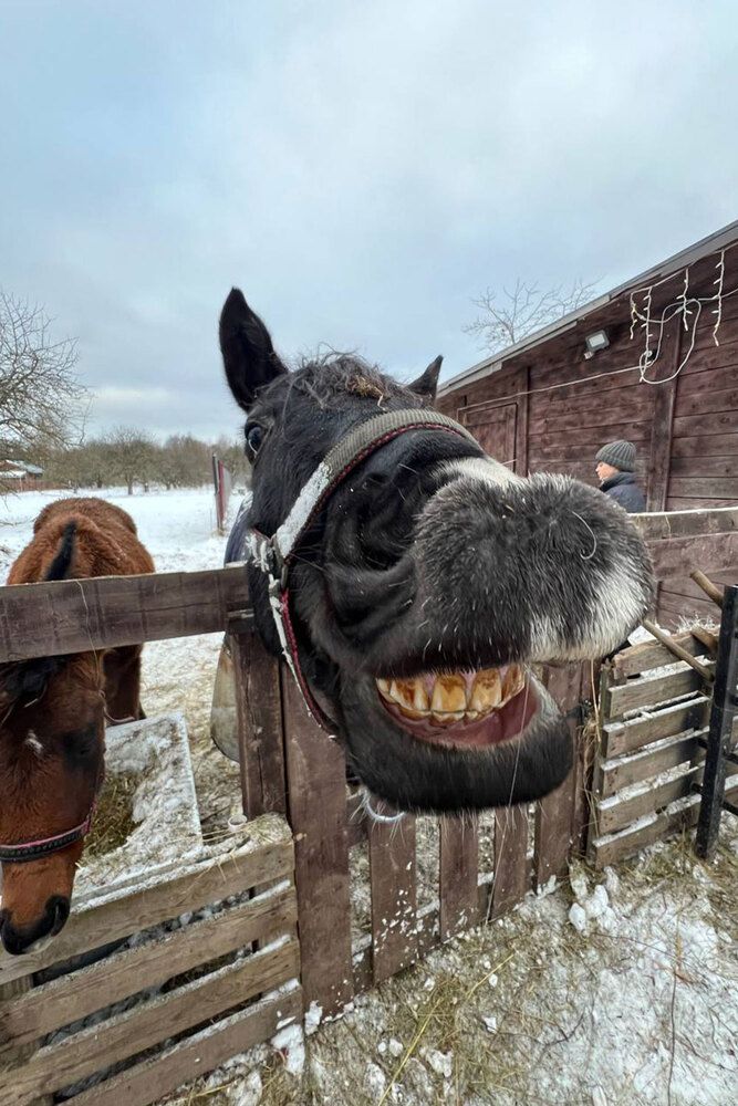 Photograph by Алексей Малеев