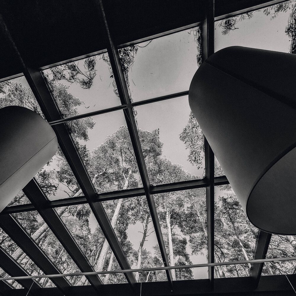 Photograph by Еловик Валерий