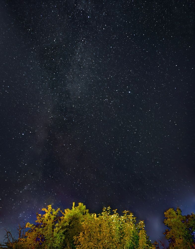 Photograph by Денис Туптий