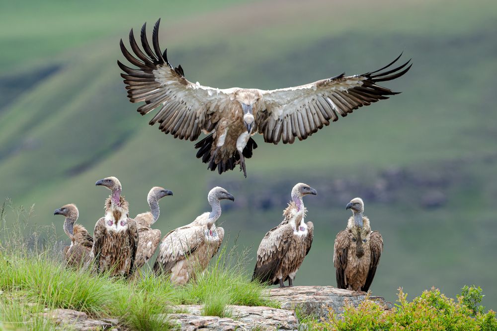 Photograph by Ruzhdi Ibrahimi