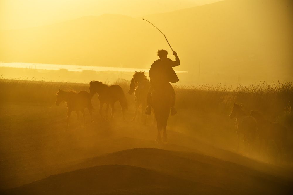 Фотография автора Bengi Turaç