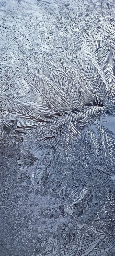 Photograph by Кадырова Анастасия