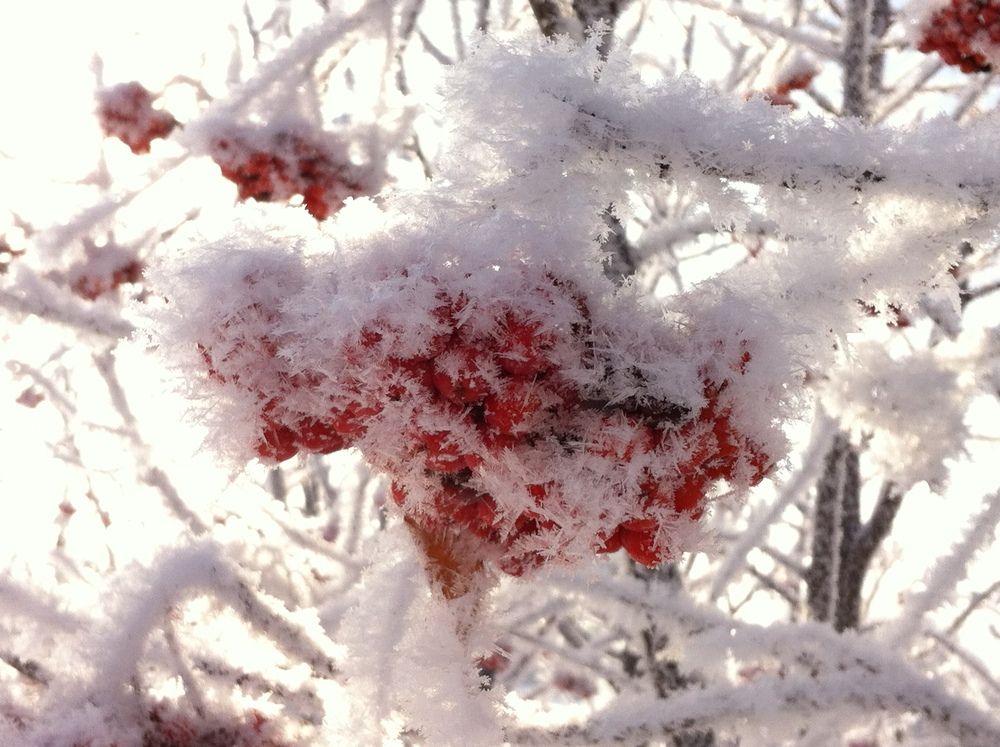 Фотография автора Елена Александрова