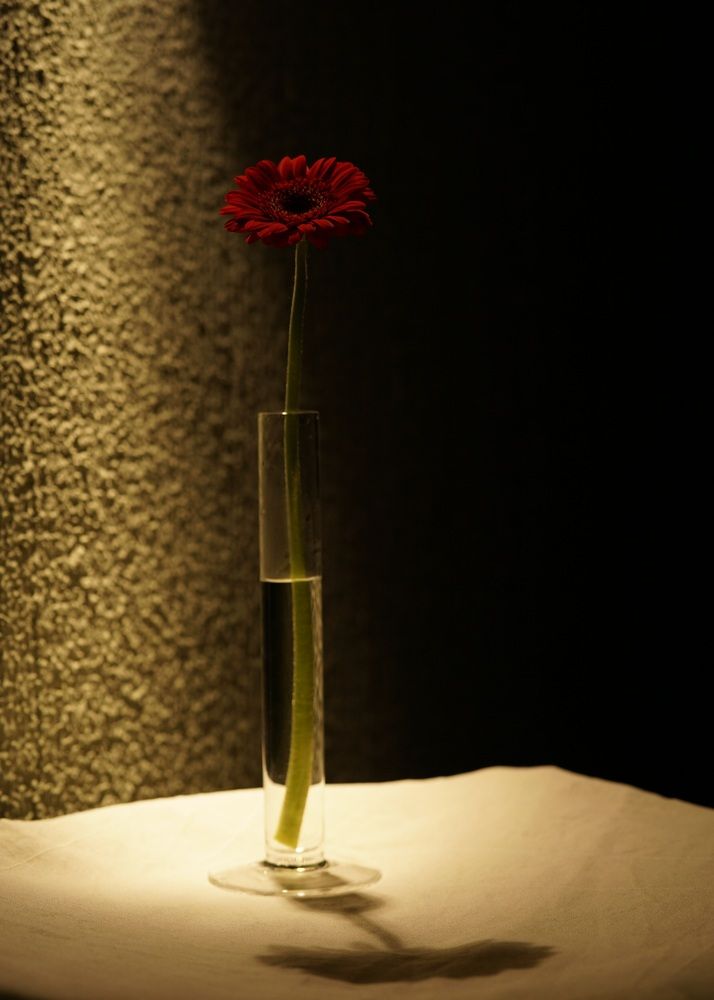 Photograph by Оксана Зибзибадзе