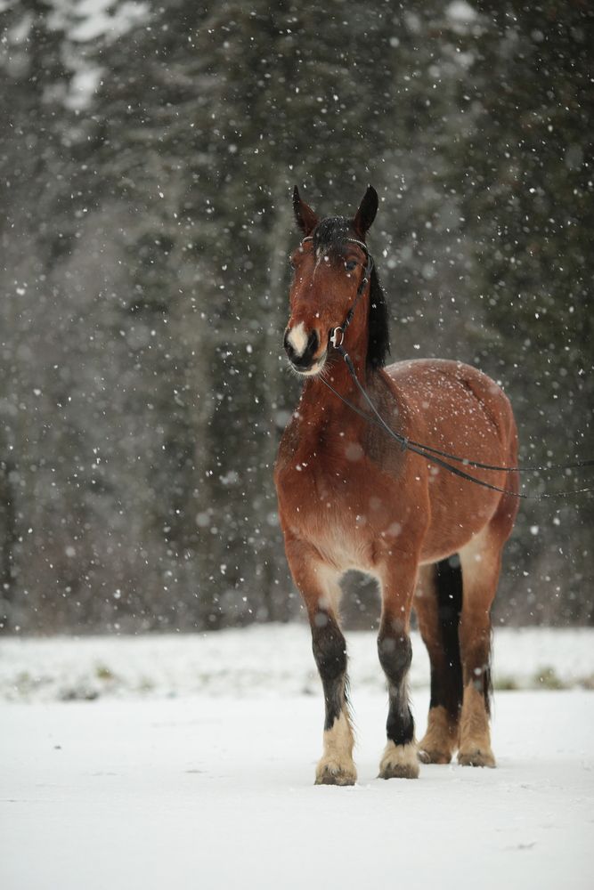 Photograph by Ирина Казанцева