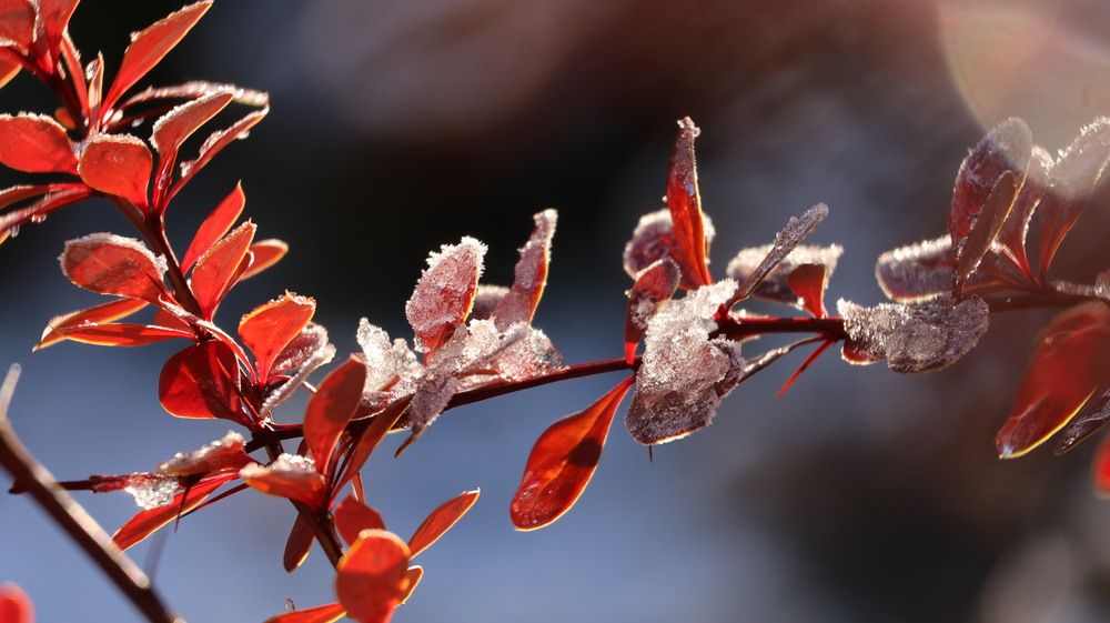 Фотография автора Надежда