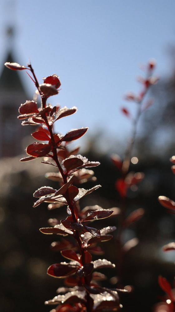 Фотография автора Надежда