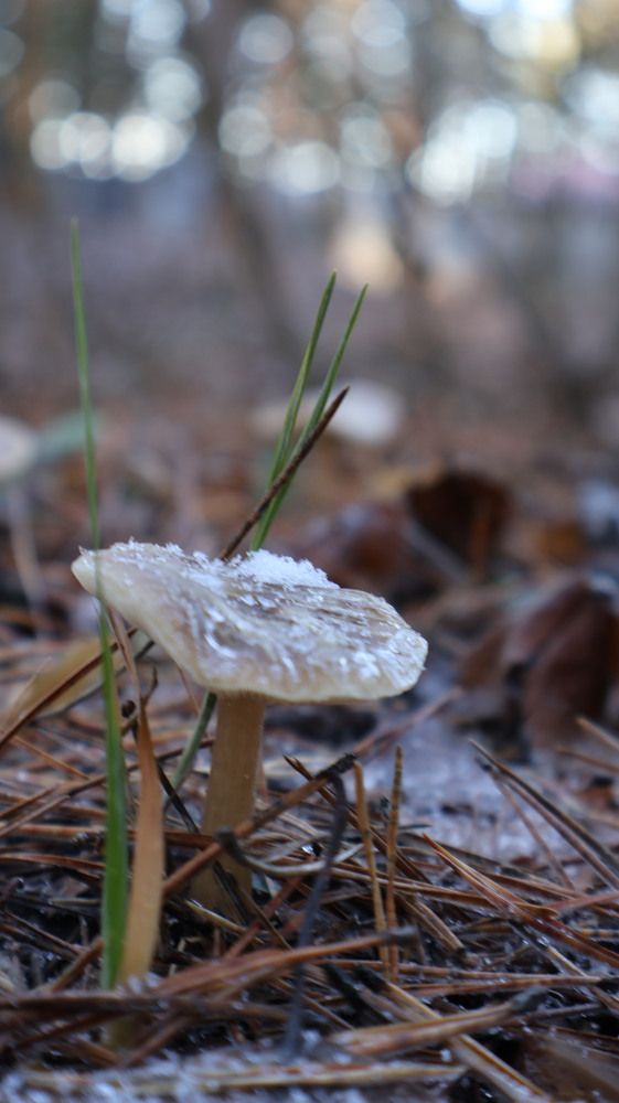 Фотография автора Надежда