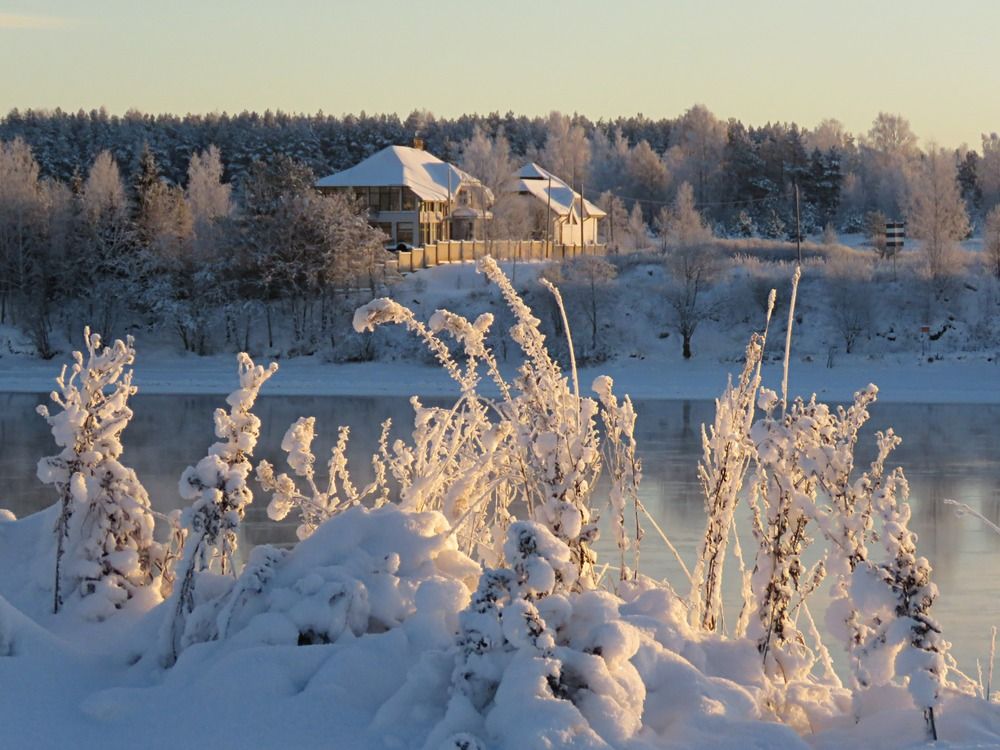 Photograph by Галина Пименова