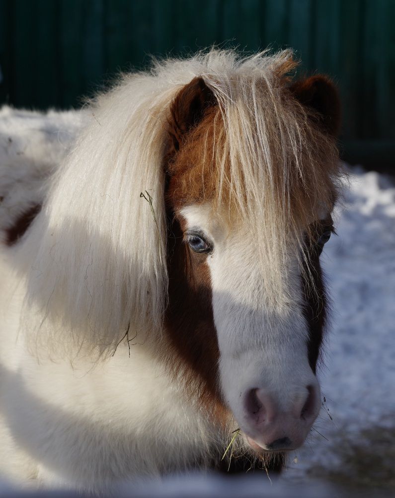 Photograph by Андрей Корытов