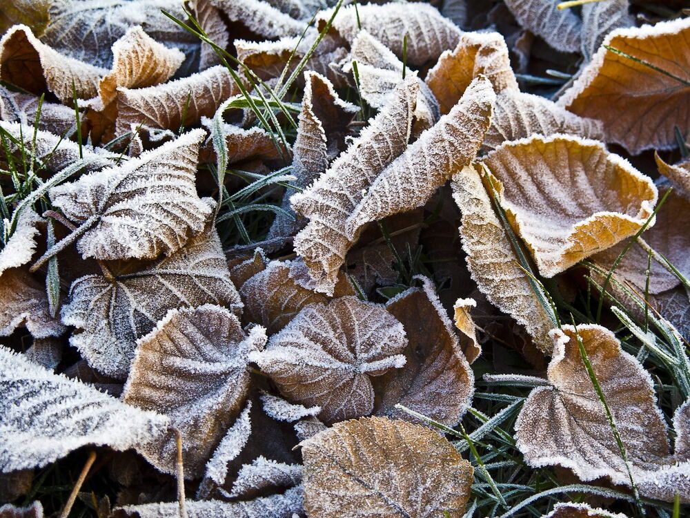 Окончание осени))